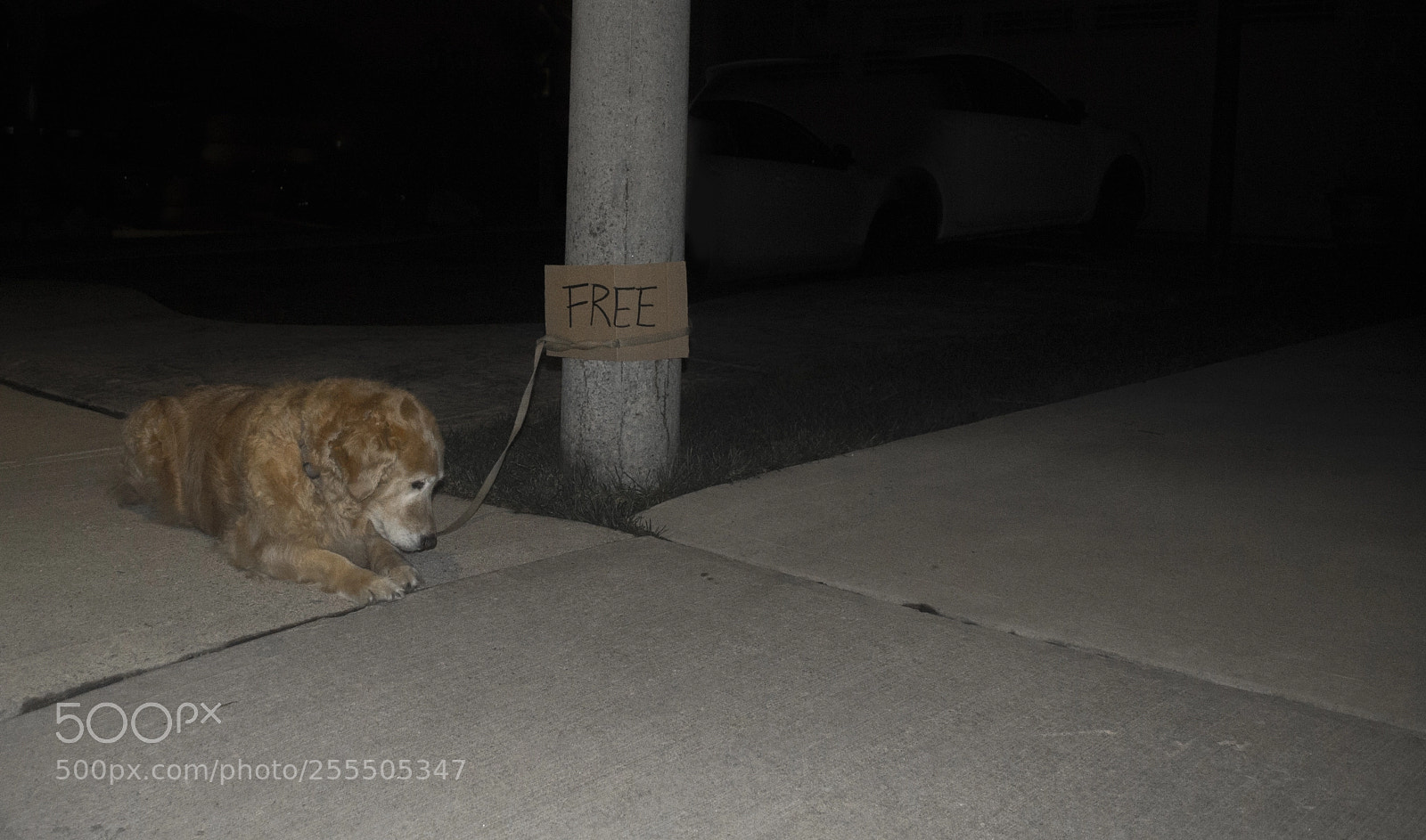 Nikon D3100 sample photo. Night photography photography