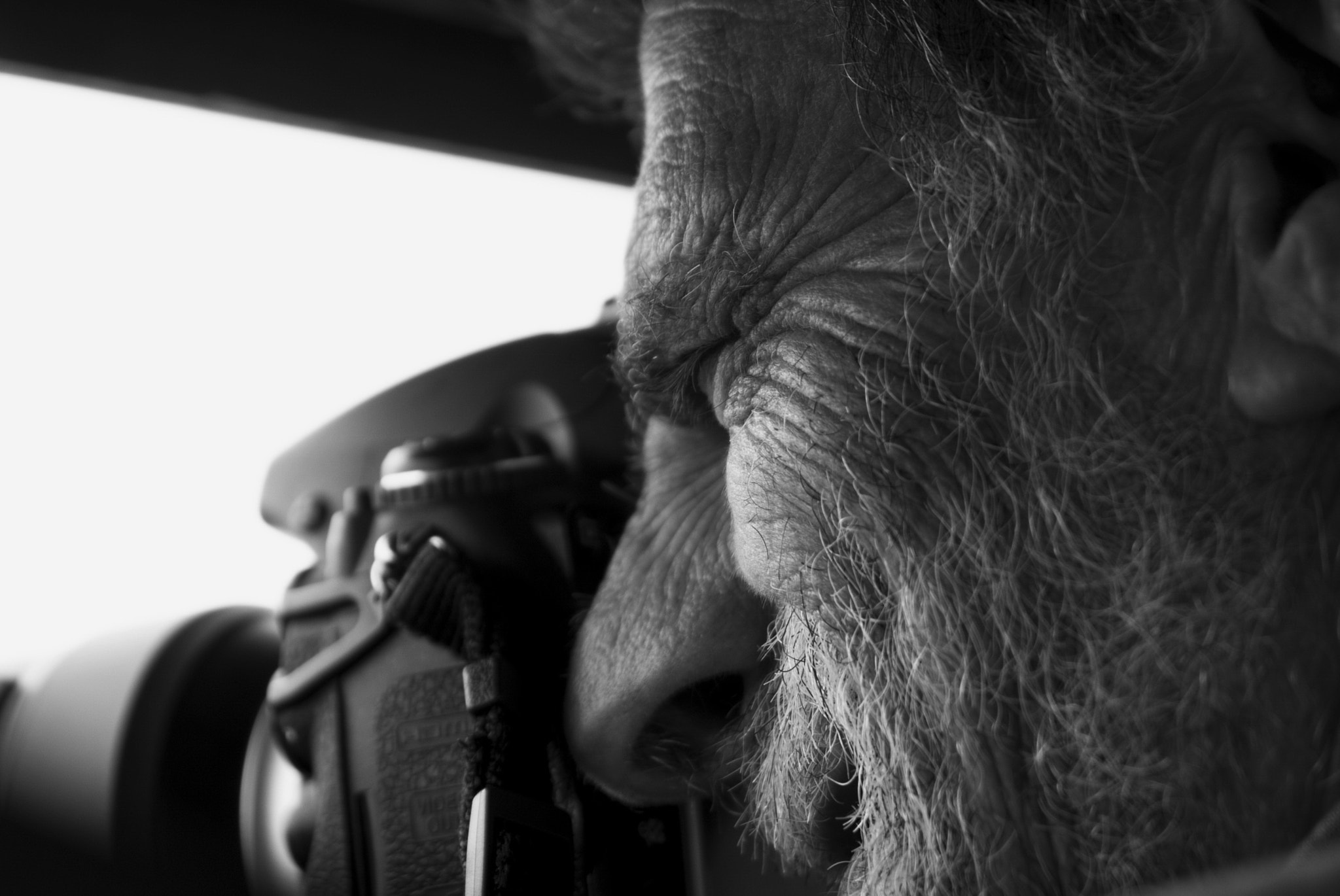 Fujifilm FinePix S5 Pro sample photo. The old photographer photography