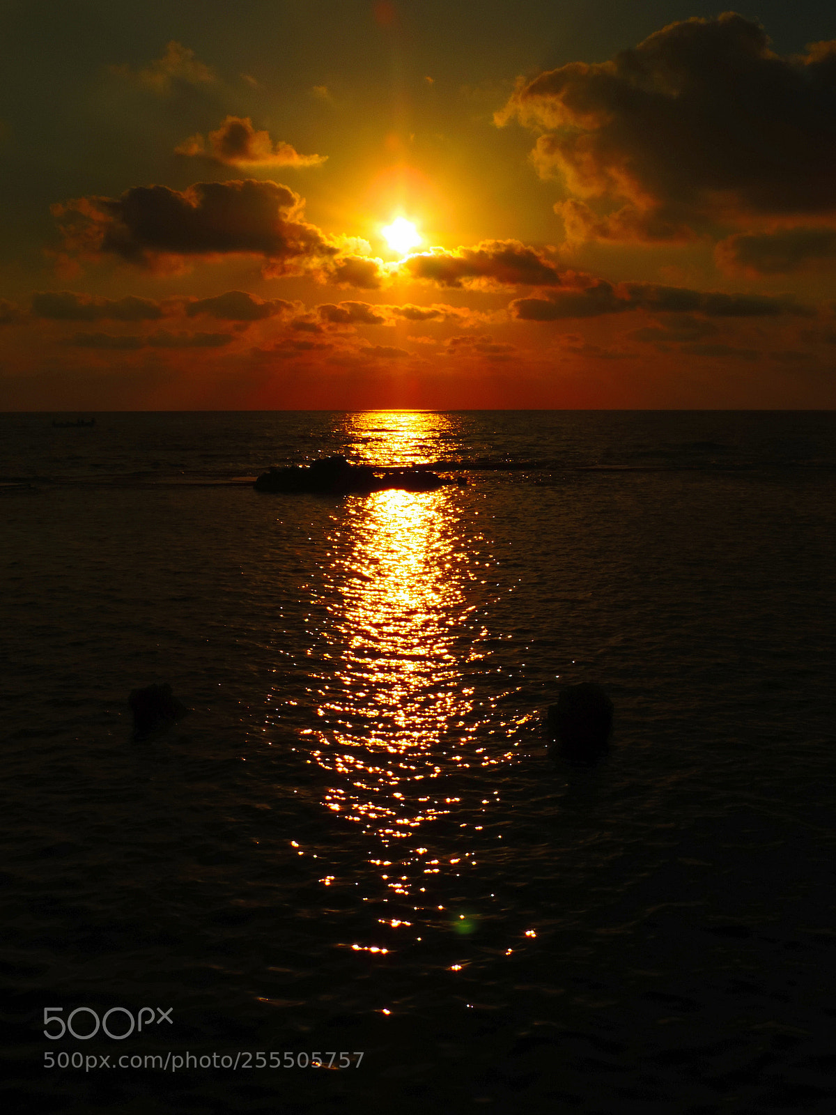 Nikon Coolpix P520 sample photo. Calm descent photography