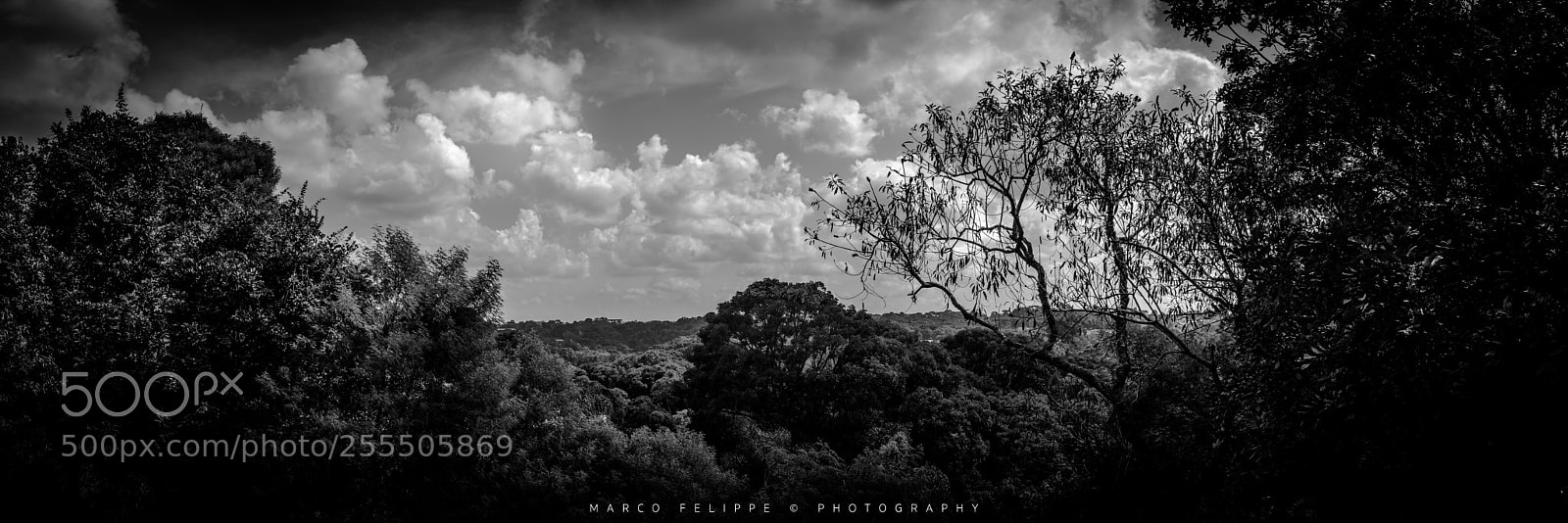 Sony a7S II sample photo. Noir #88 photography