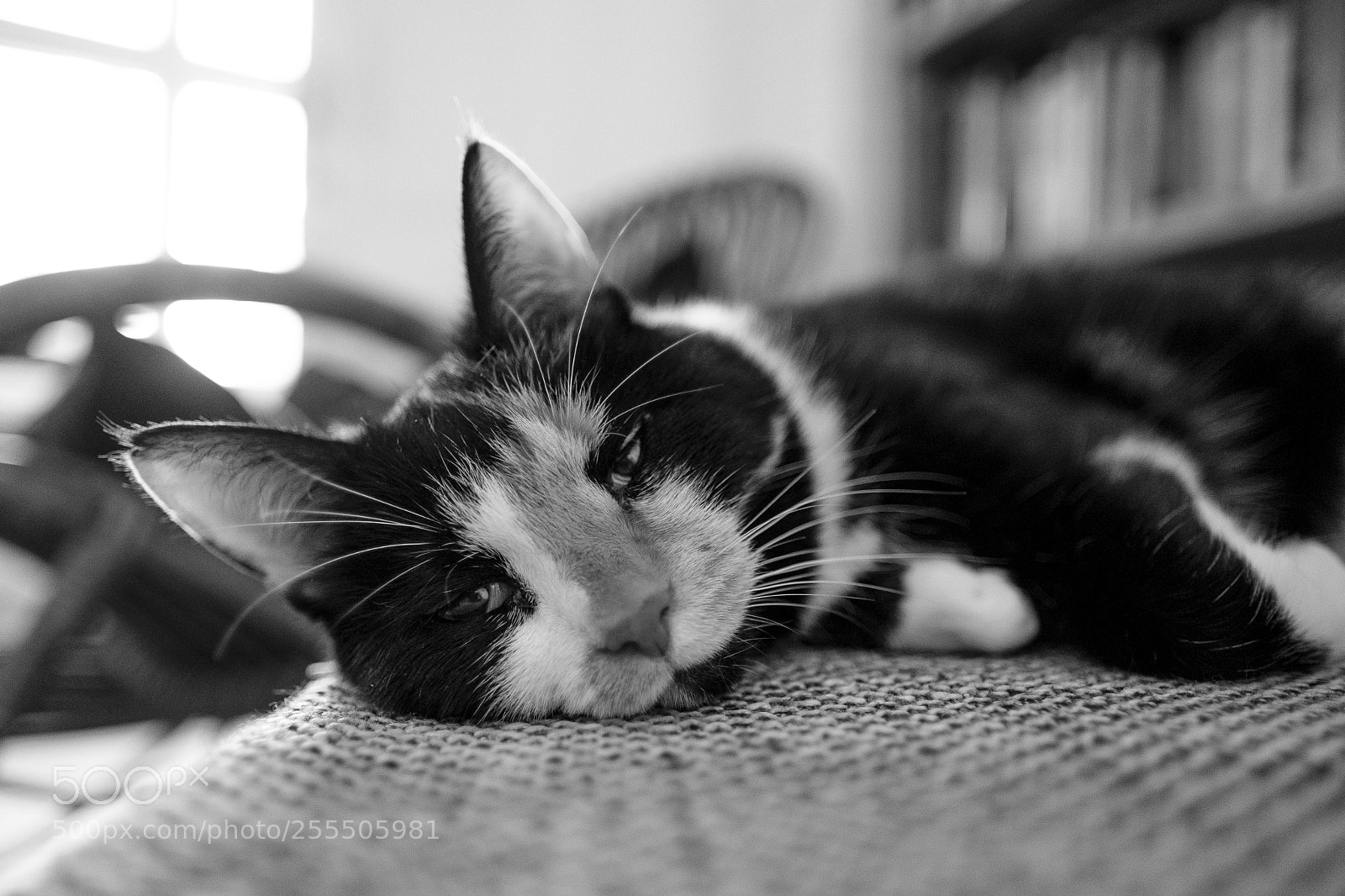 Fujifilm X-Pro2 sample photo. Love me photography