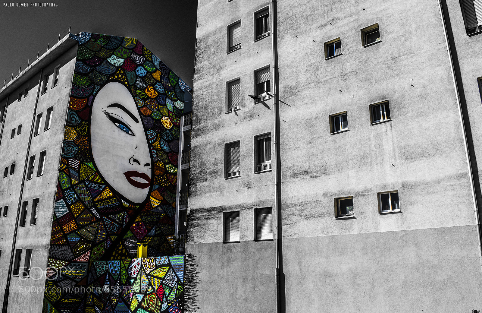Nikon D3300 sample photo. Respeitar as diferen as photography