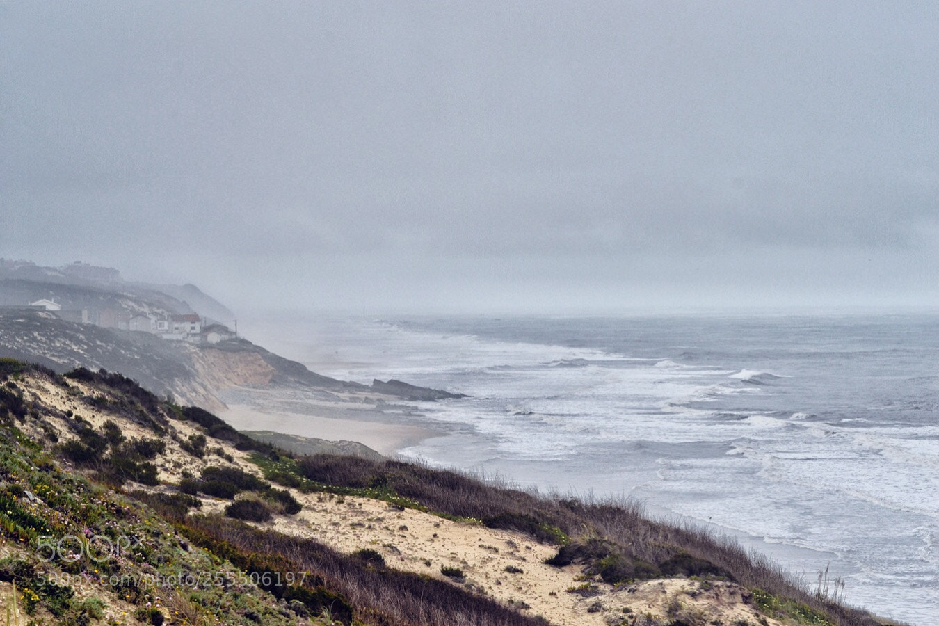 Nikon D3100 sample photo. Untitled photography
