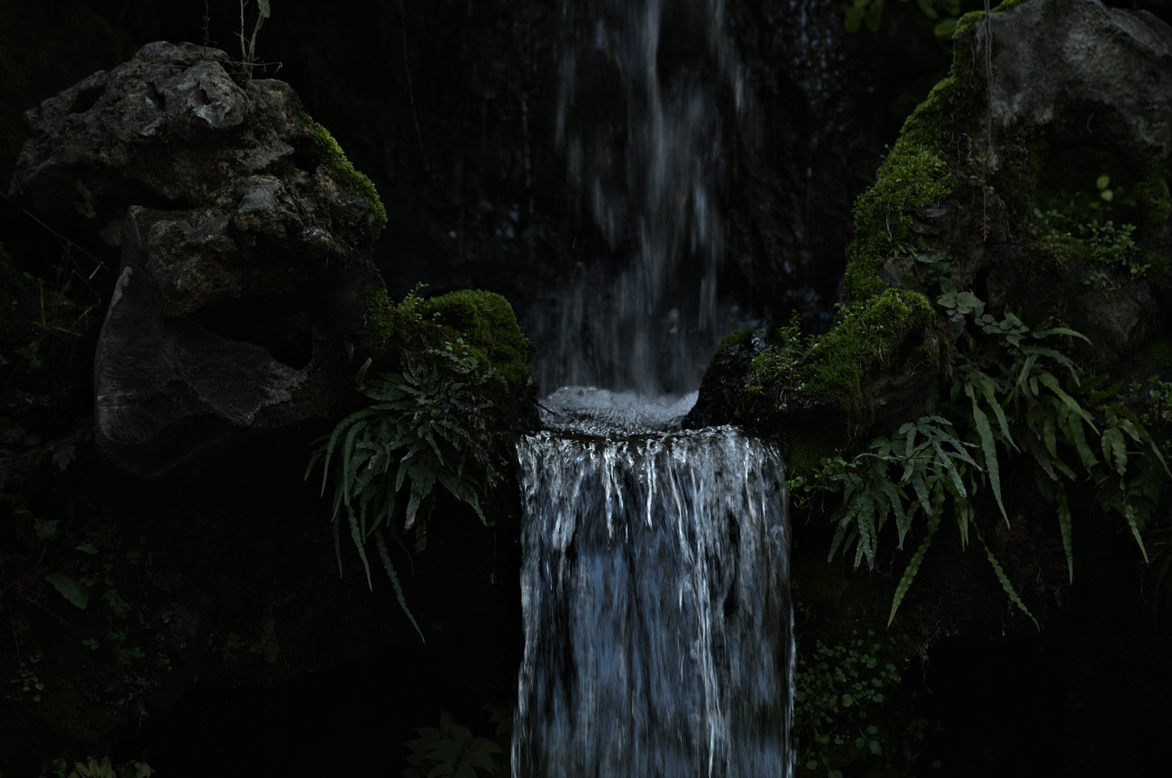 Nikon D3100 sample photo. Water photography