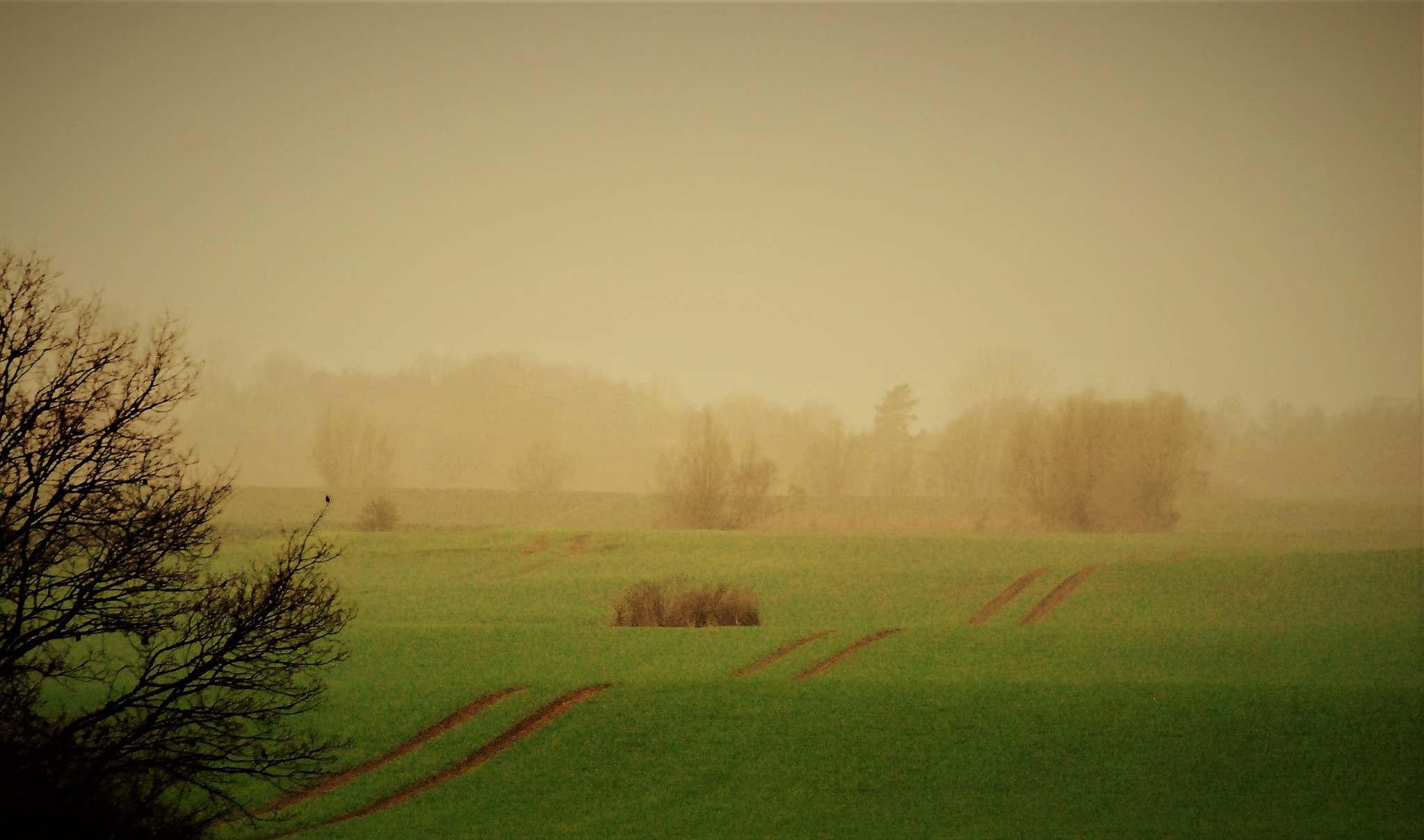 Nikon D40X sample photo. Agricultural traces photography
