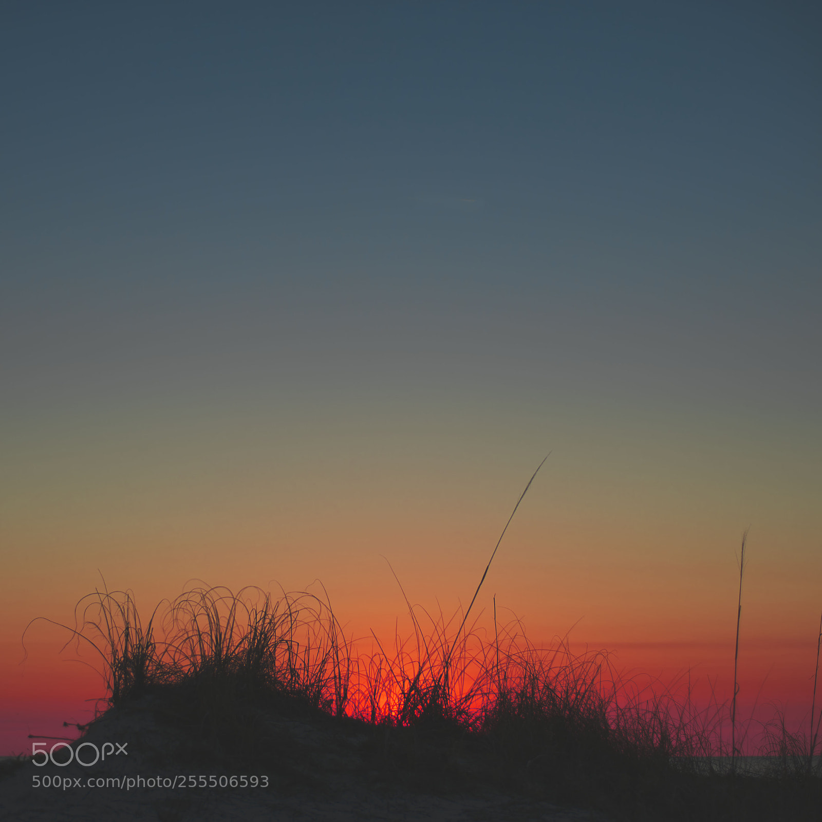 Nikon D800 sample photo. Florida skyline photography