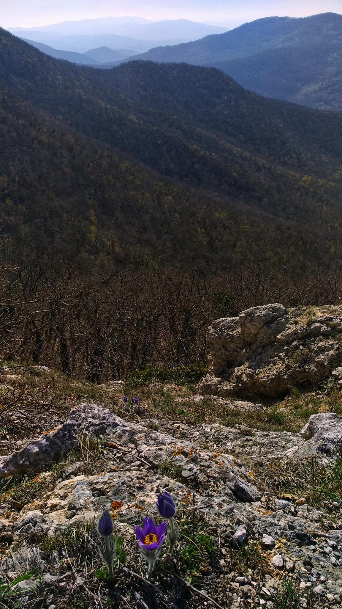 Xiaomi MI MAX 2 sample photo. Poetry of the mountains photography