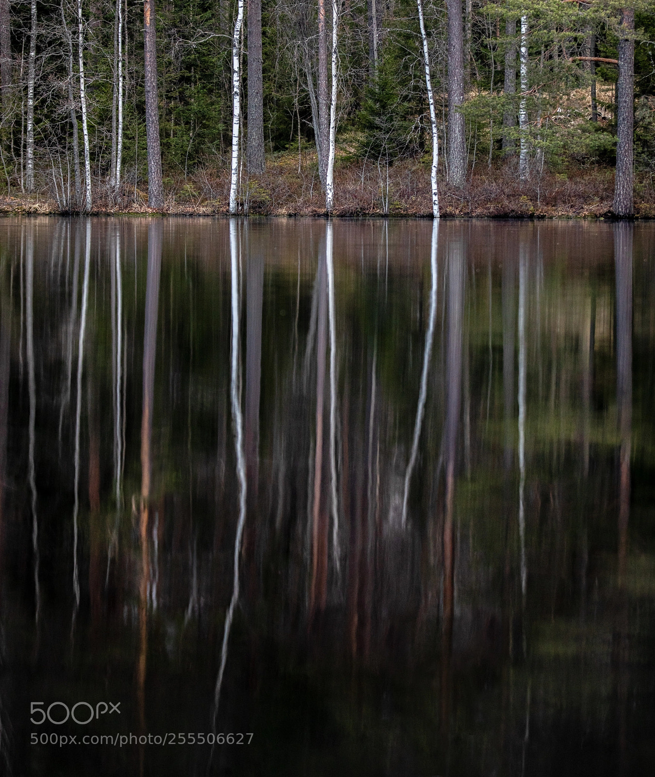Canon EOS 5D Mark IV sample photo. Lake trees iii photography