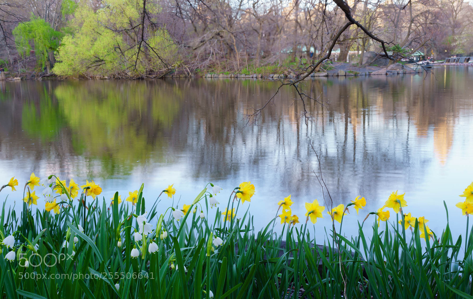 Sony a6000 sample photo. It is finally spring! photography