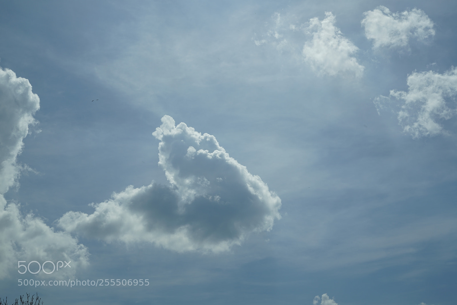 Sony a7 II sample photo. Two birds photography