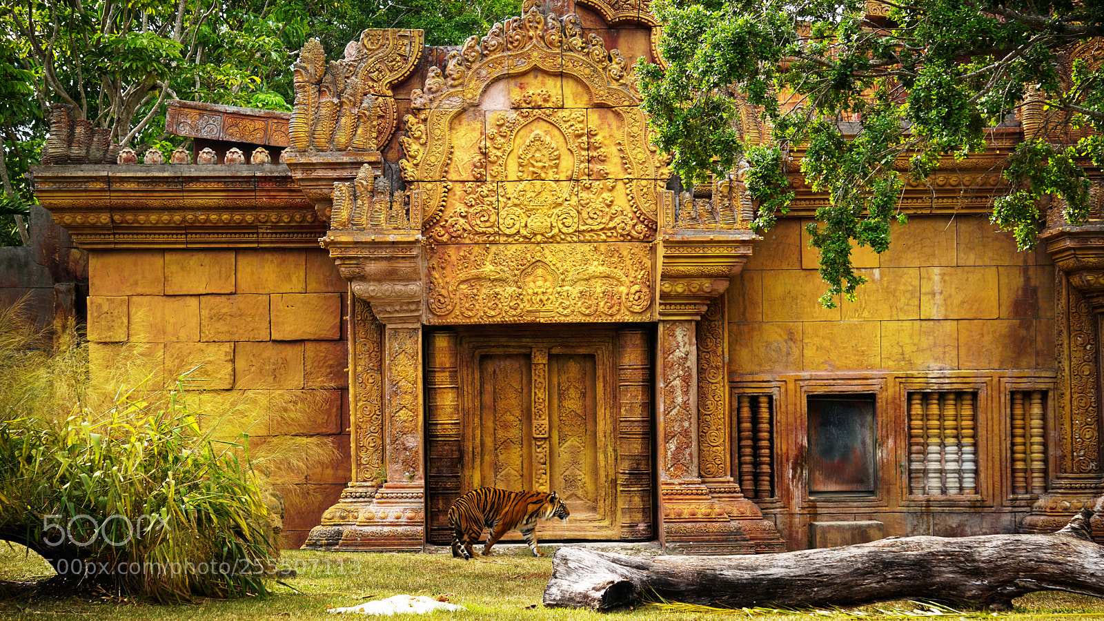 Sony a6300 sample photo. Tiger temple photography