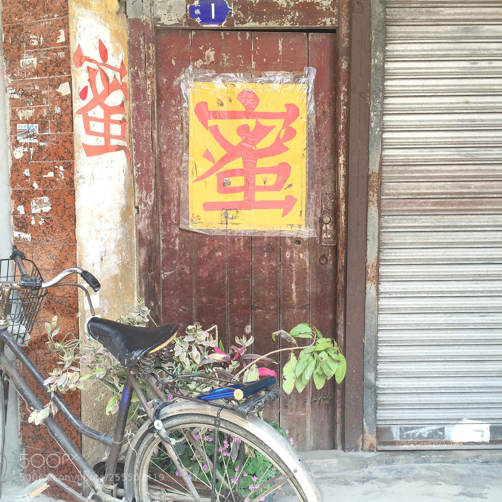 Apple iPhone 6 sample photo. 蜜 photography