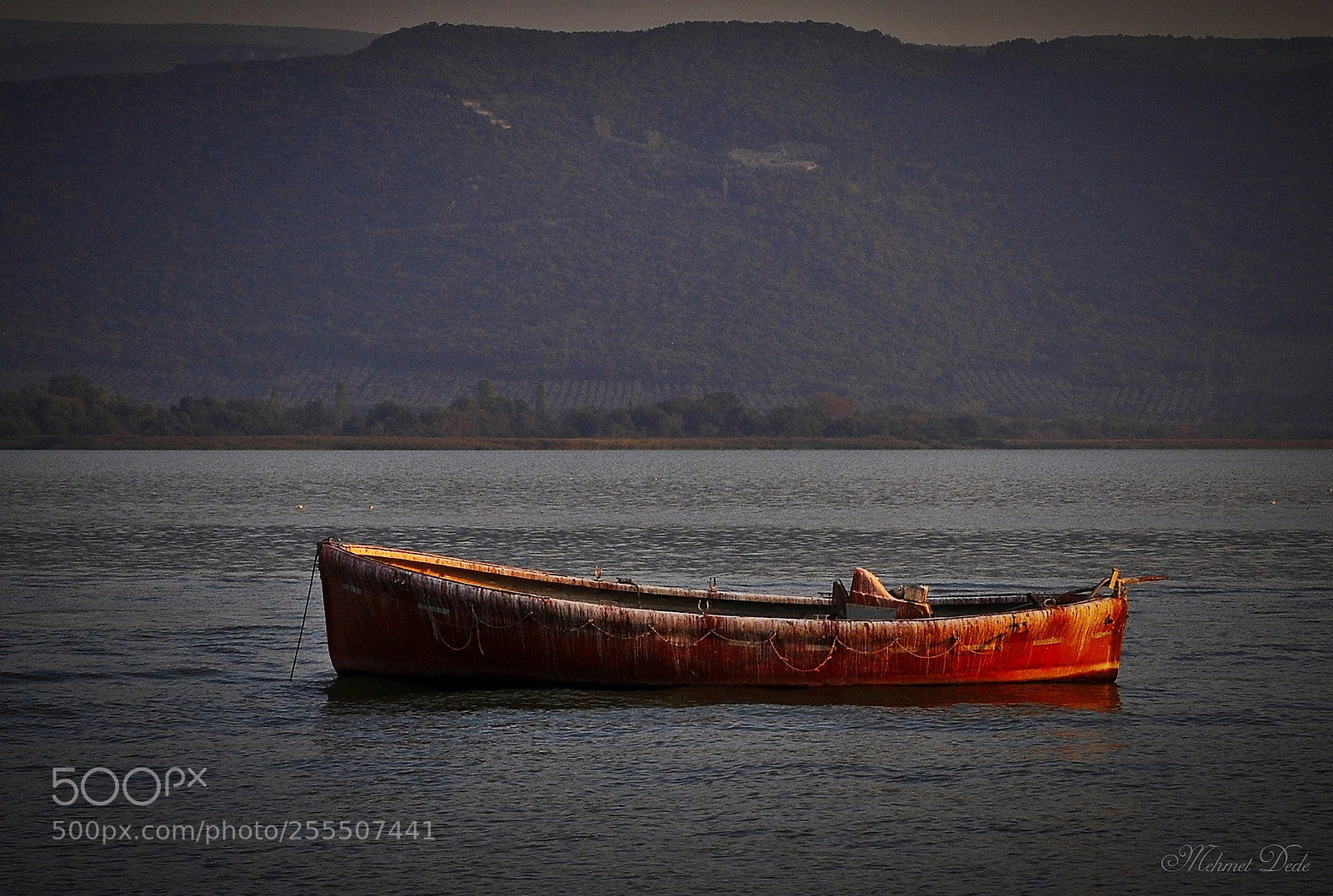 Nikon D300S sample photo. Loneliness.. photography