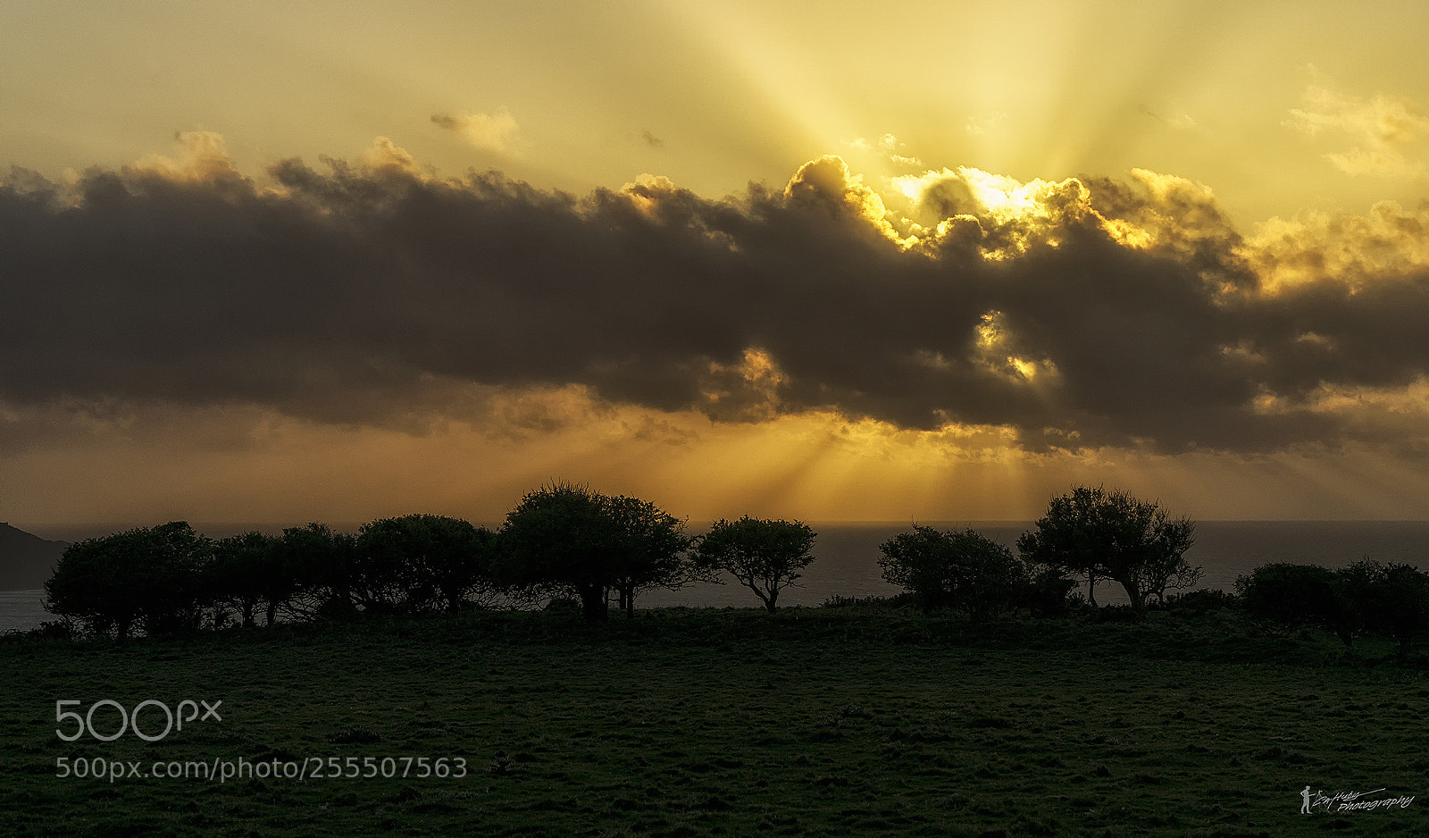 Sony a6000 sample photo. Sunrays breaking through photography