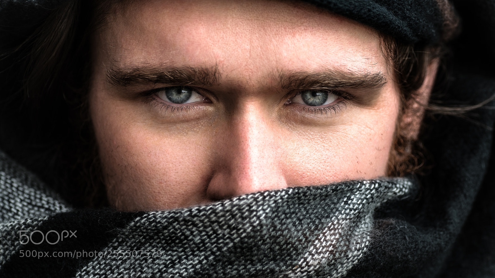 Nikon D800 sample photo. The warrior. photography
