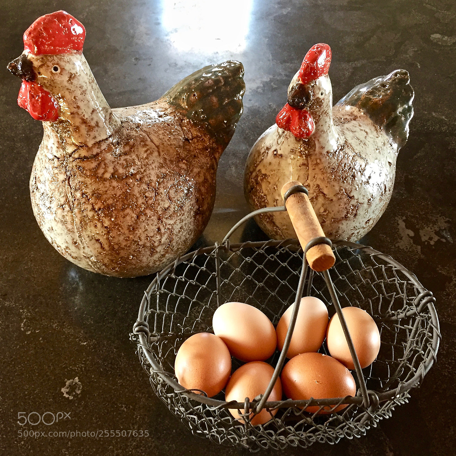 Apple iPhone 6 sample photo. Poules photography