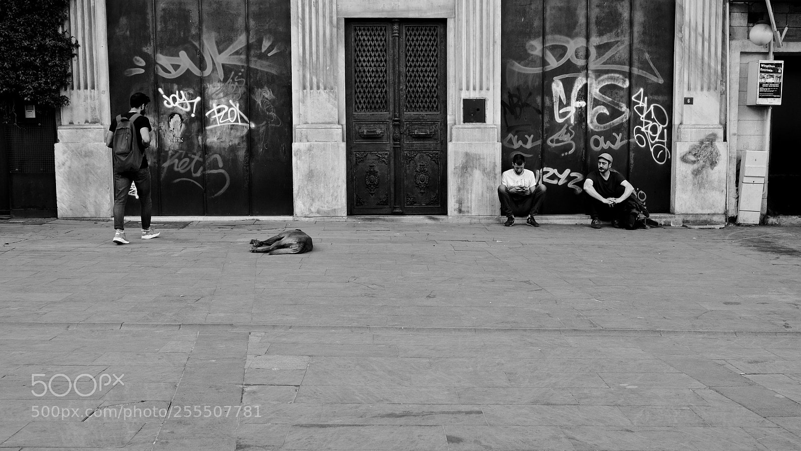 Fujifilm X-T10 sample photo. Untitled photography