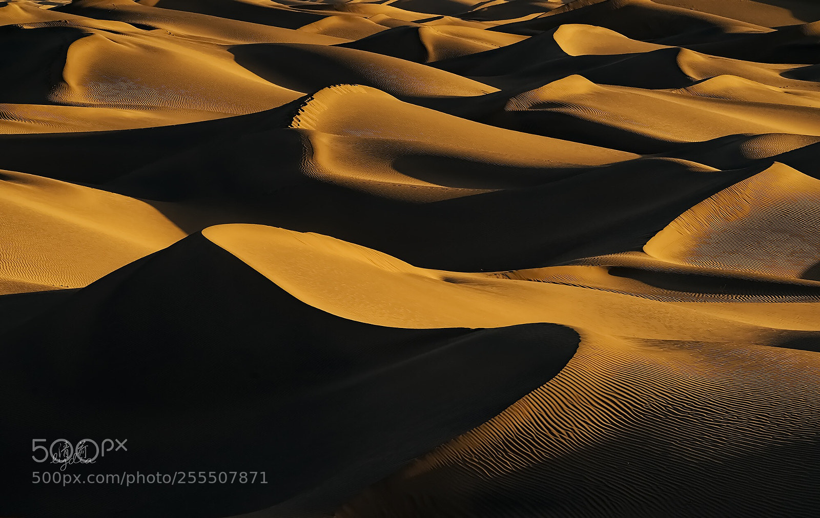 Sony a7 II sample photo. Sand waves photography