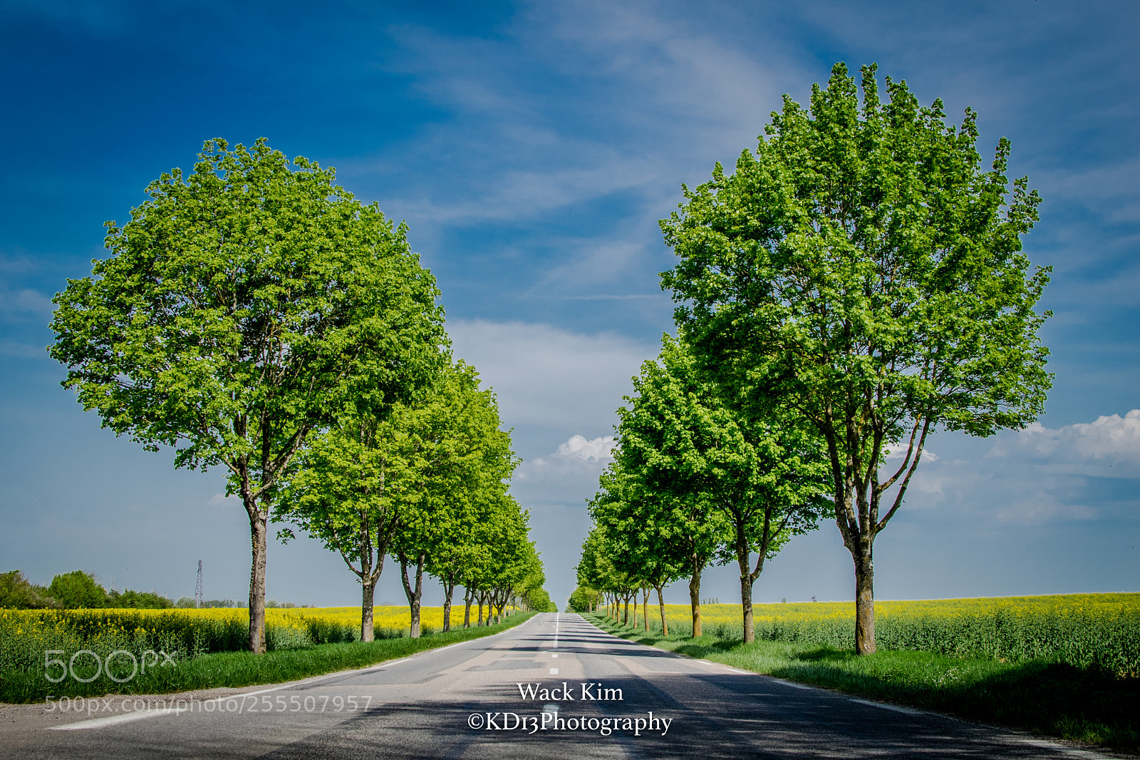 Nikon D5300 sample photo. Follow the way photography