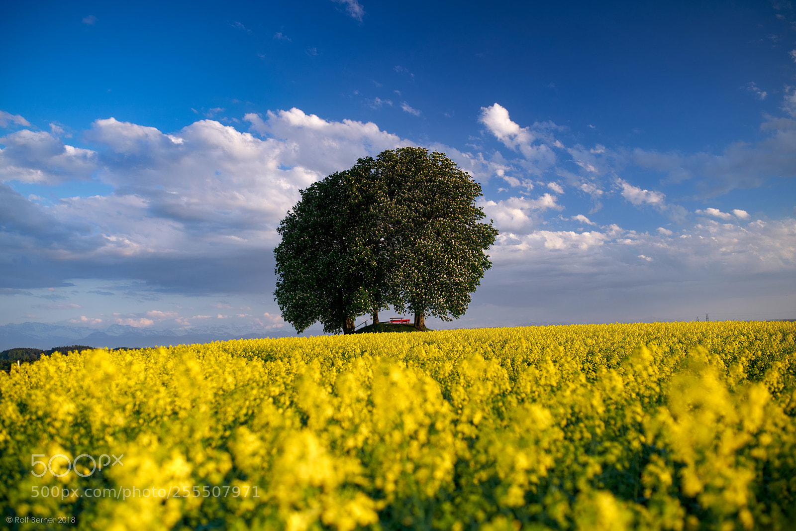 Sony a99 II sample photo. Field 3 photography