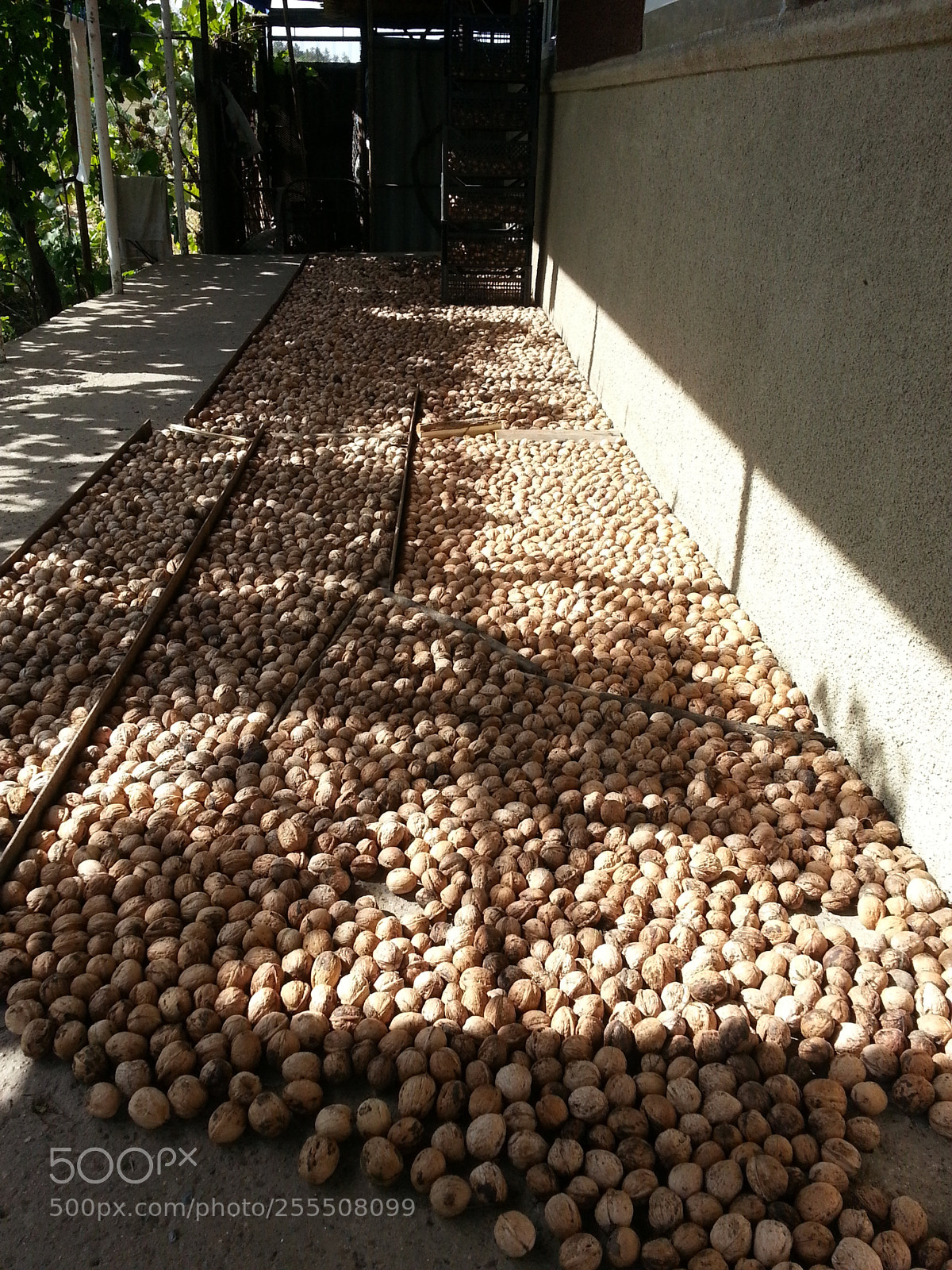 Samsung Galaxy S3 sample photo. Untitled photography