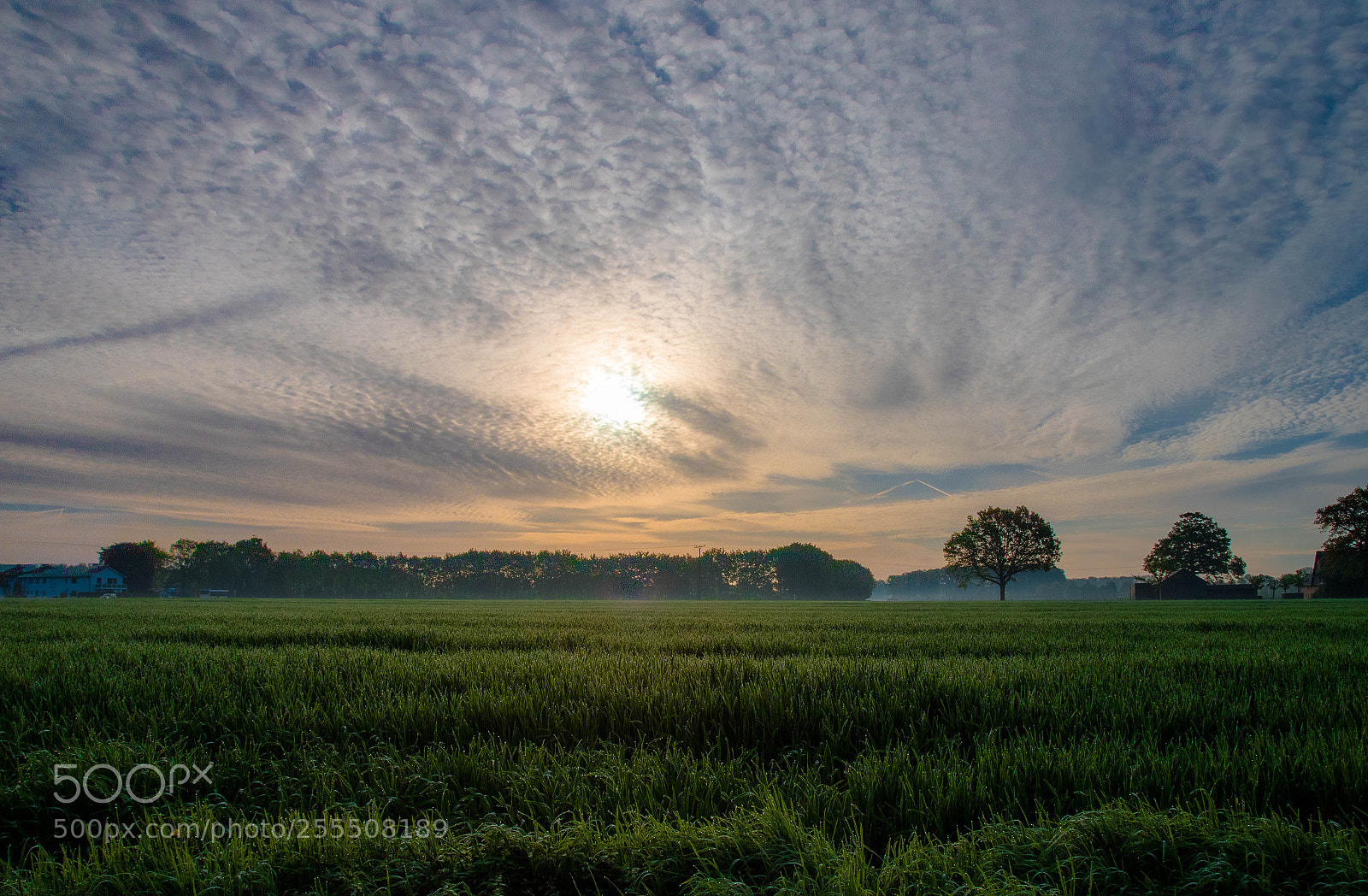 Canon EOS 6D Mark II sample photo. In heaven photography