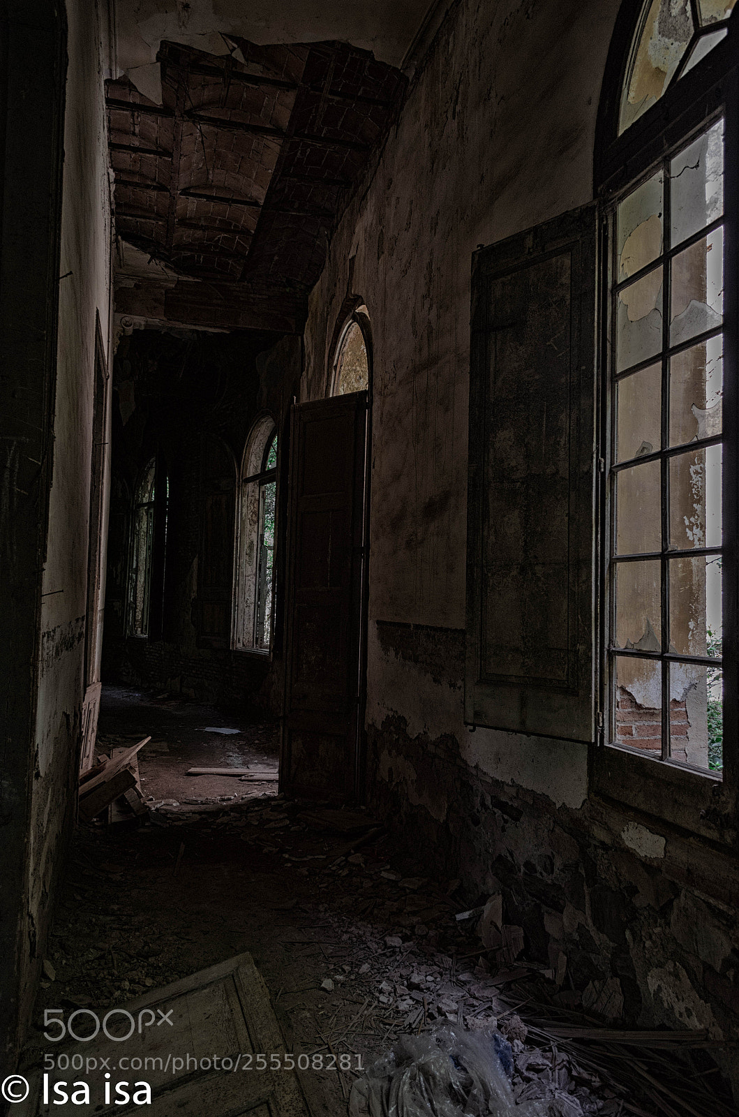 Nikon D5100 sample photo. Editar editar photography
