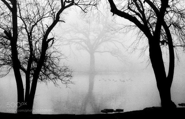 Canon EOS 50D sample photo. Morning  fog photography