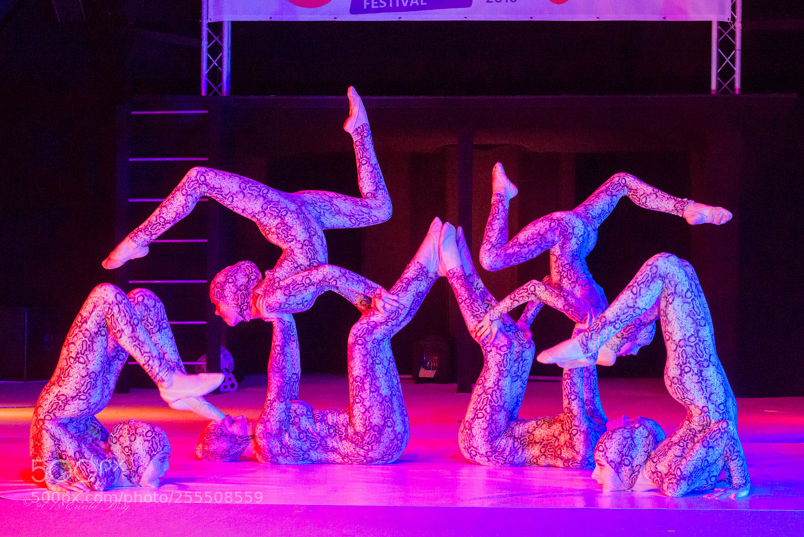 Nikon D800 sample photo. Waldoni circus photography