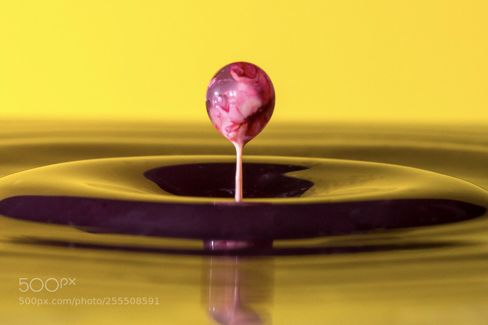 Canon EOS 70D sample photo. Drop of inspiration  photography