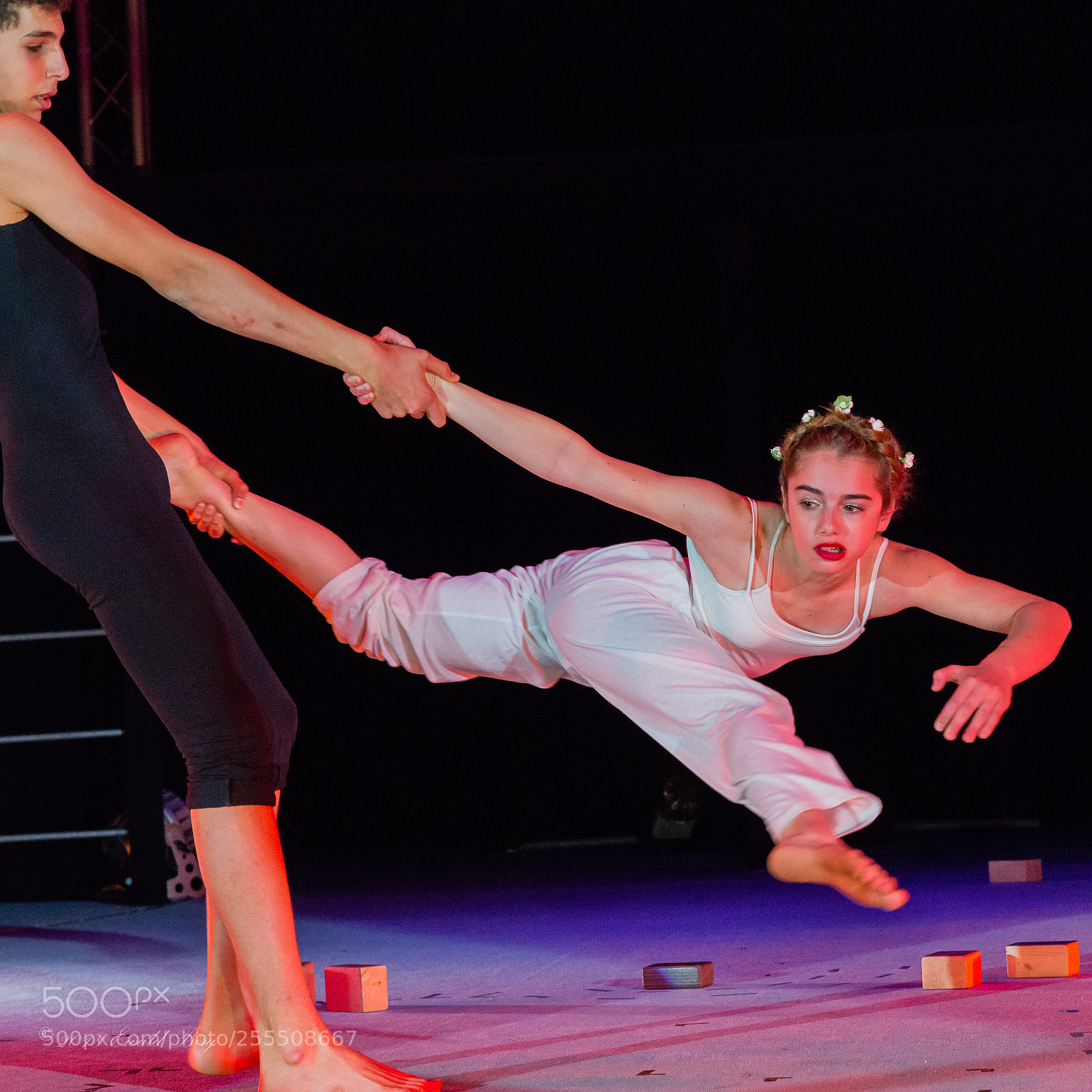 Nikon D800 sample photo. Waldoni circus photography