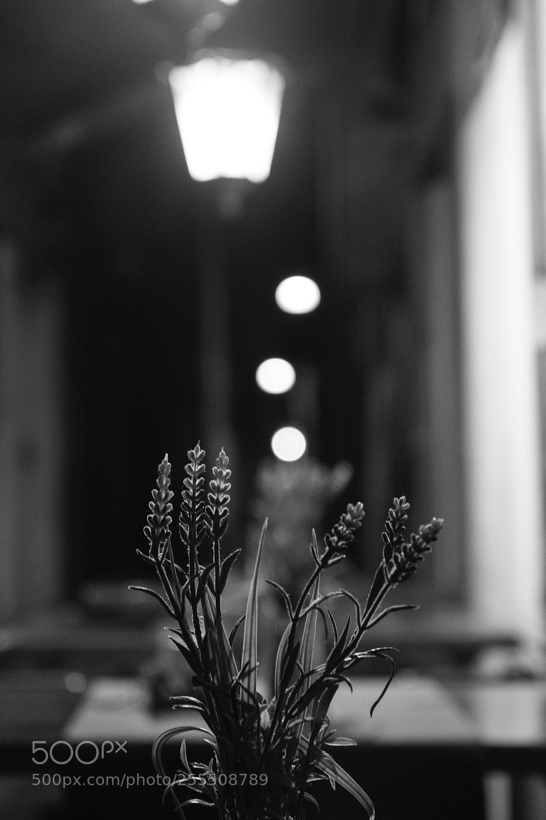Nikon D7200 sample photo. Night lights photography