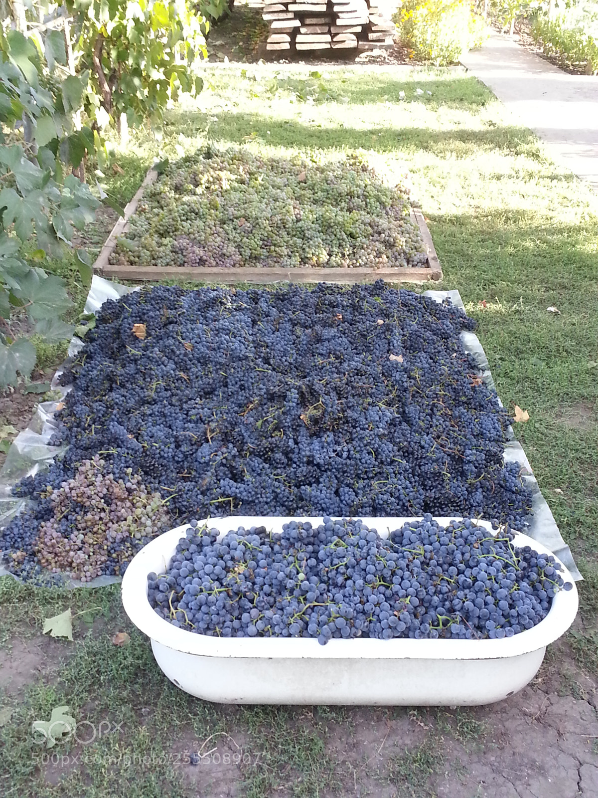 Samsung Galaxy S3 sample photo. Untitled photography