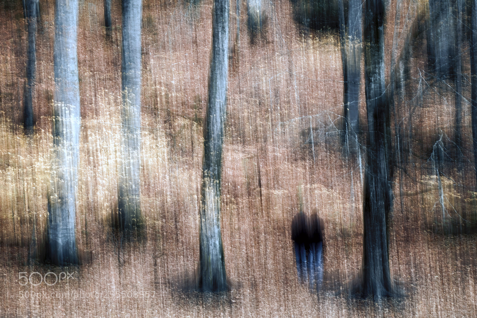 Fujifilm X-T10 sample photo. Trees photography