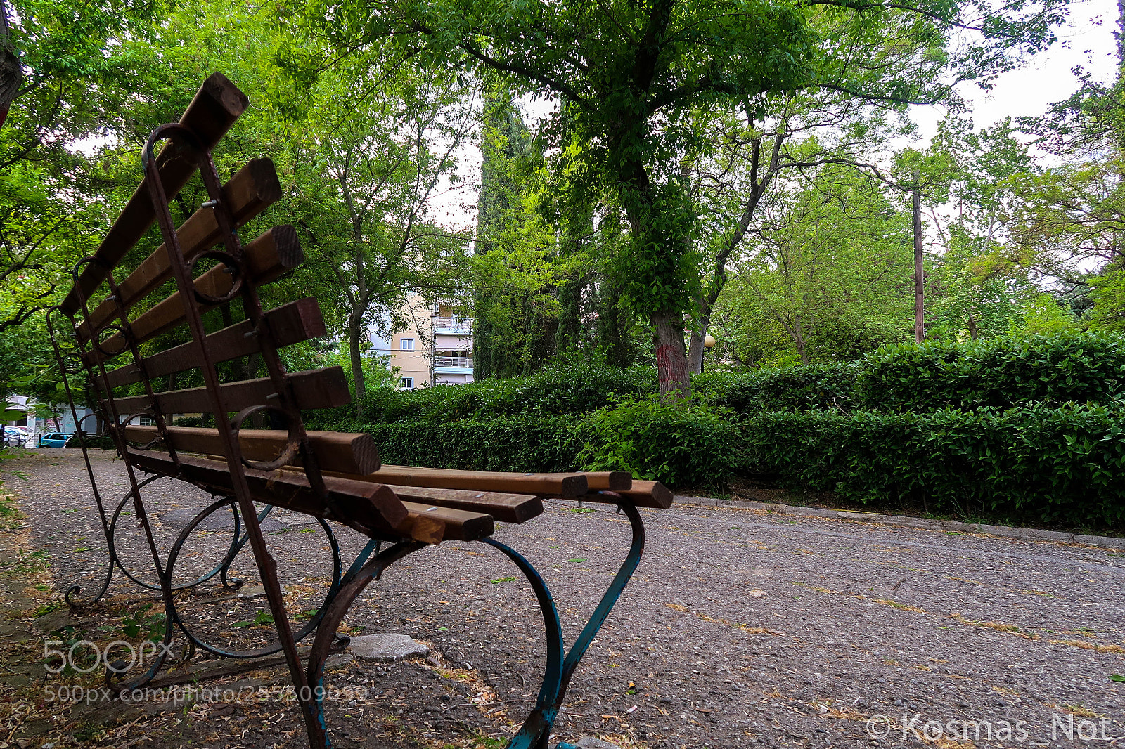 Canon PowerShot G7 X Mark II sample photo. Bench in a park photography