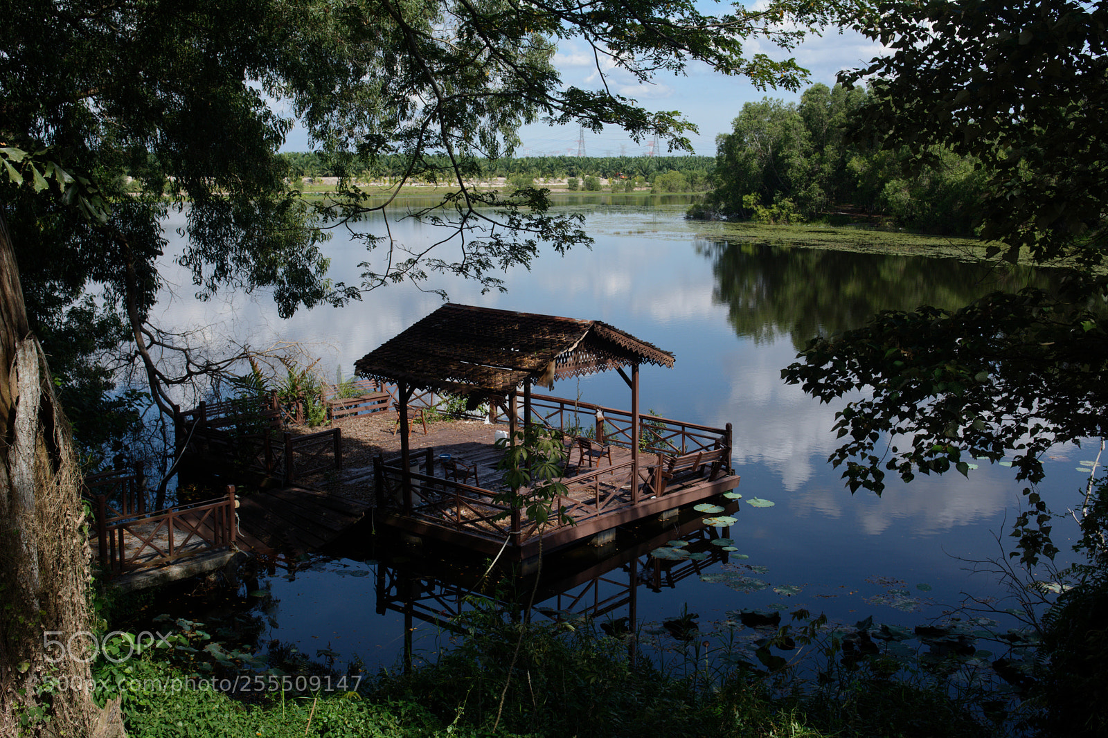 Nikon D7100 sample photo. The stand photography