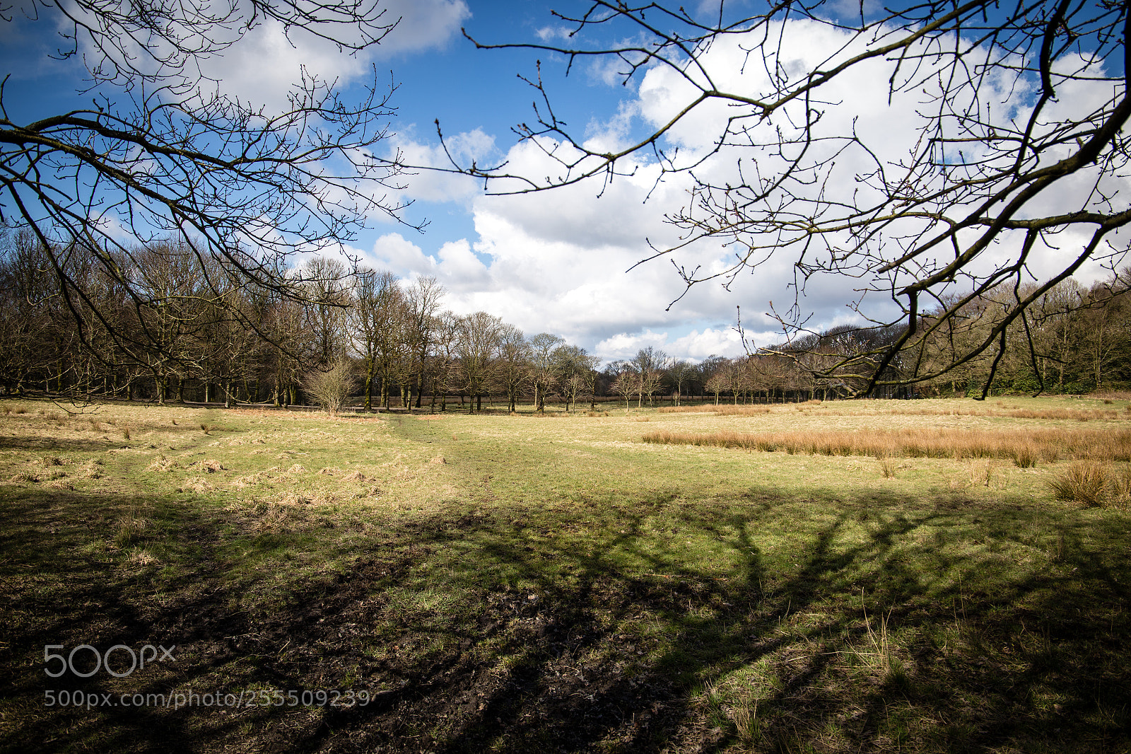 Canon EOS 6D sample photo. Rivington england uk photography