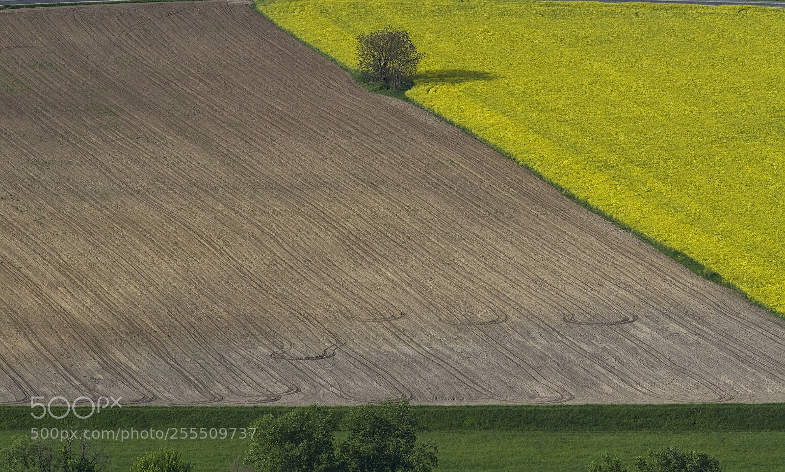 Canon EOS 7D sample photo. Country photography
