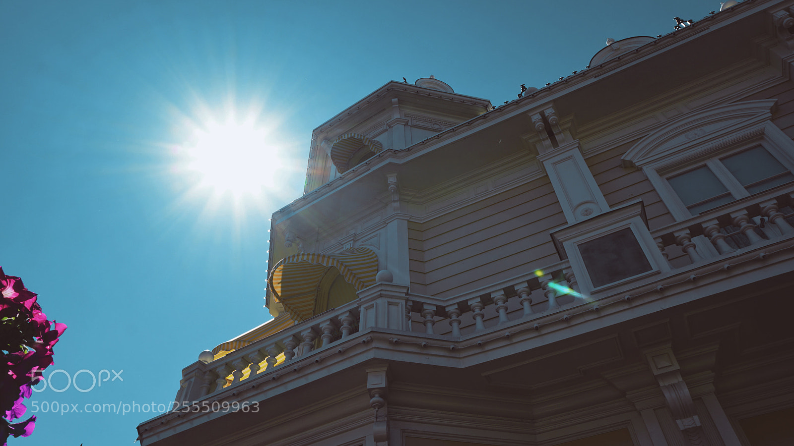Sony a6300 sample photo. Sunny photography