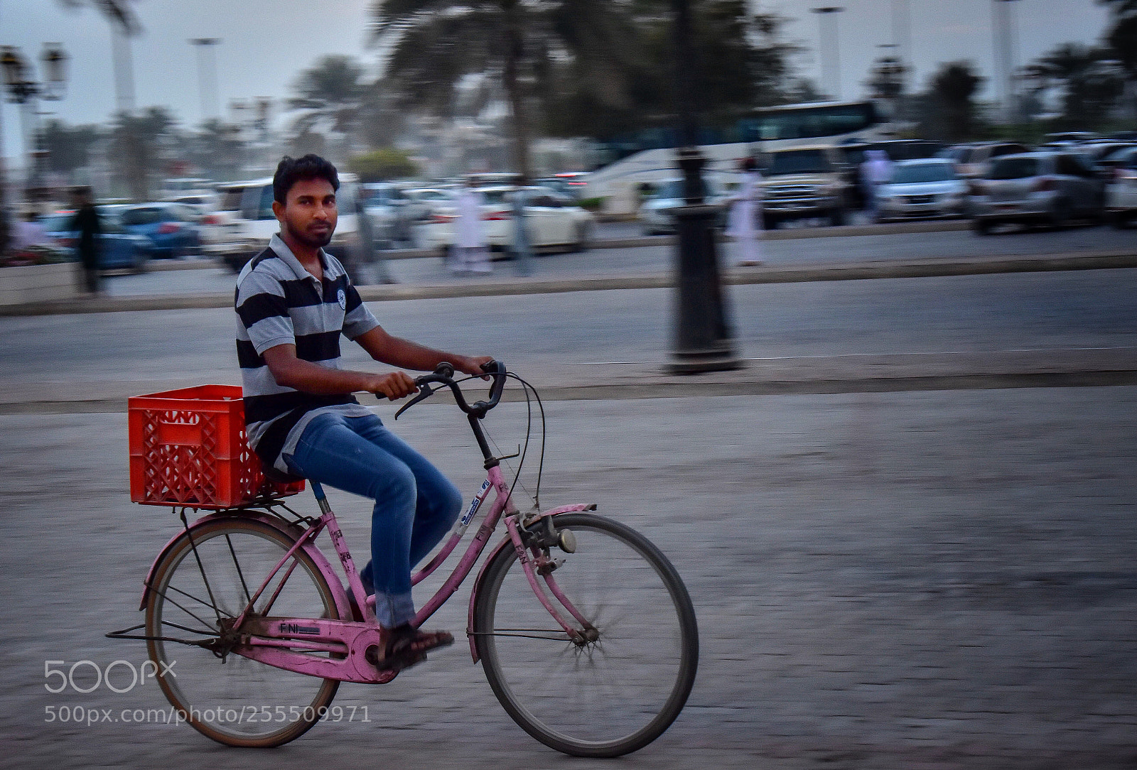Nikon D5500 sample photo. Untitled photography