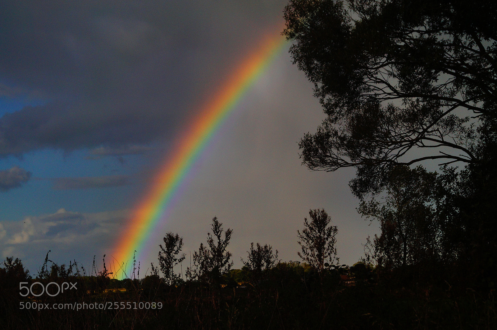 Sony SLT-A58 sample photo. Rainbow one photography