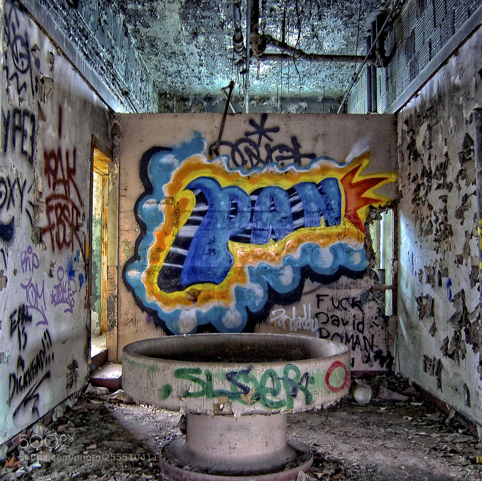 Nikon D50 sample photo. Frontal lobe photography