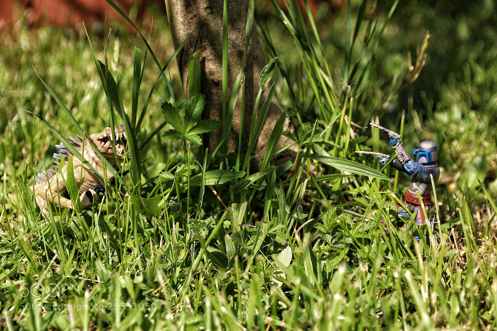 Canon EOS 70D sample photo. Untitled photography