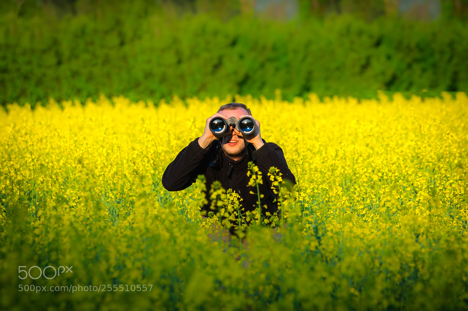 Nikon D700 sample photo. Man with binoculars searching photography