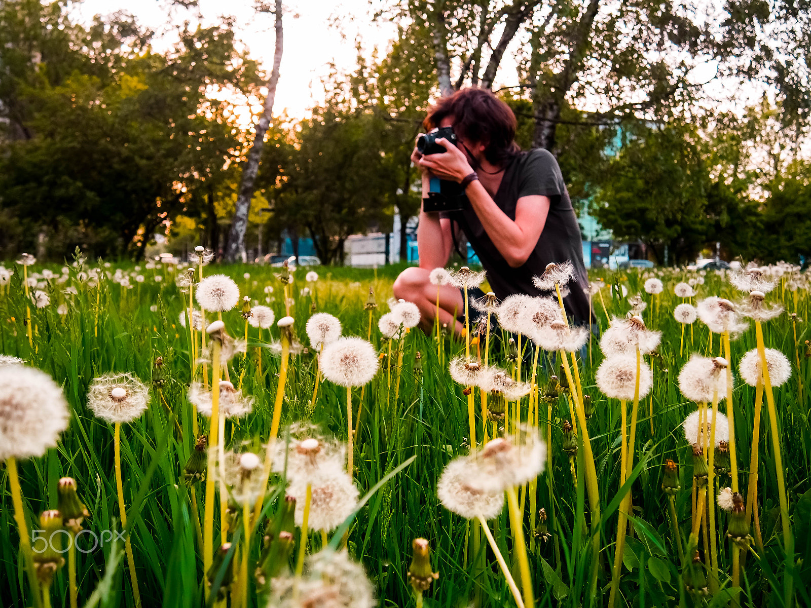 Olympus PEN E-PL6 sample photo. Spring 2018 photography