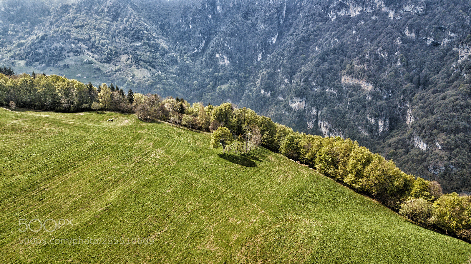 DJI FC220 sample photo. Tombea photography