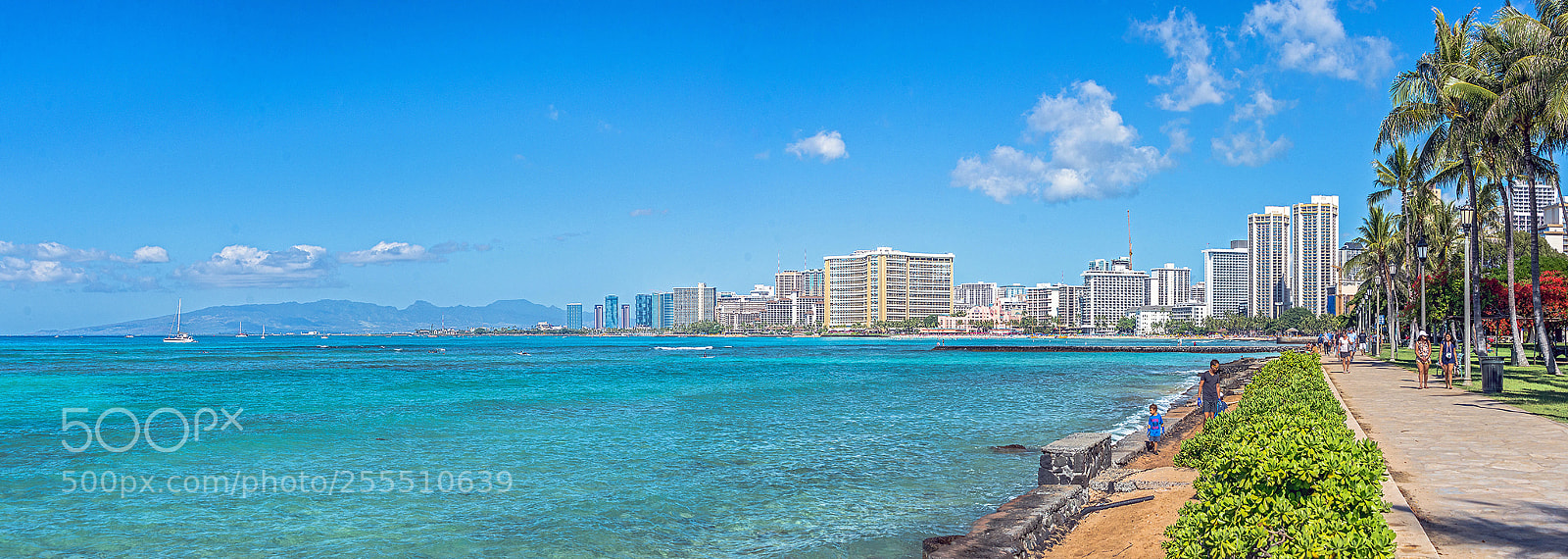 Nikon D610 sample photo. Wakiki images photography