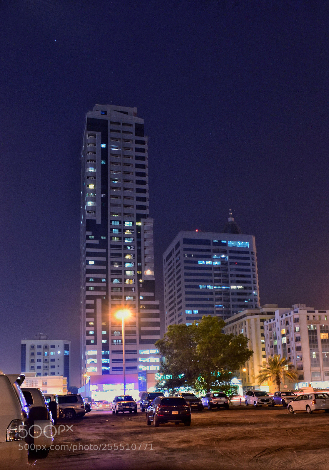 Nikon D5500 sample photo. Untitled photography