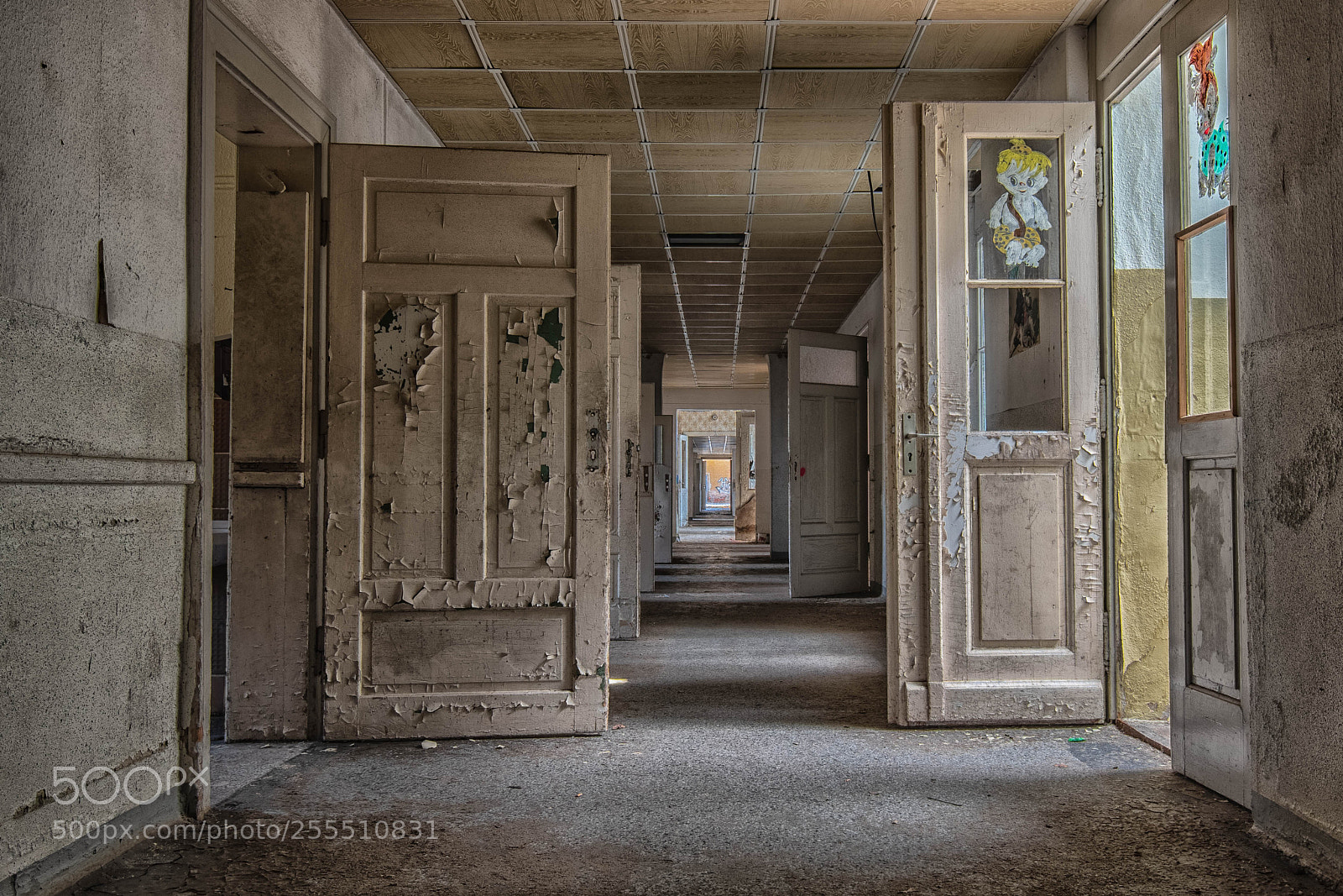 Nikon D500 sample photo. Doors photography
