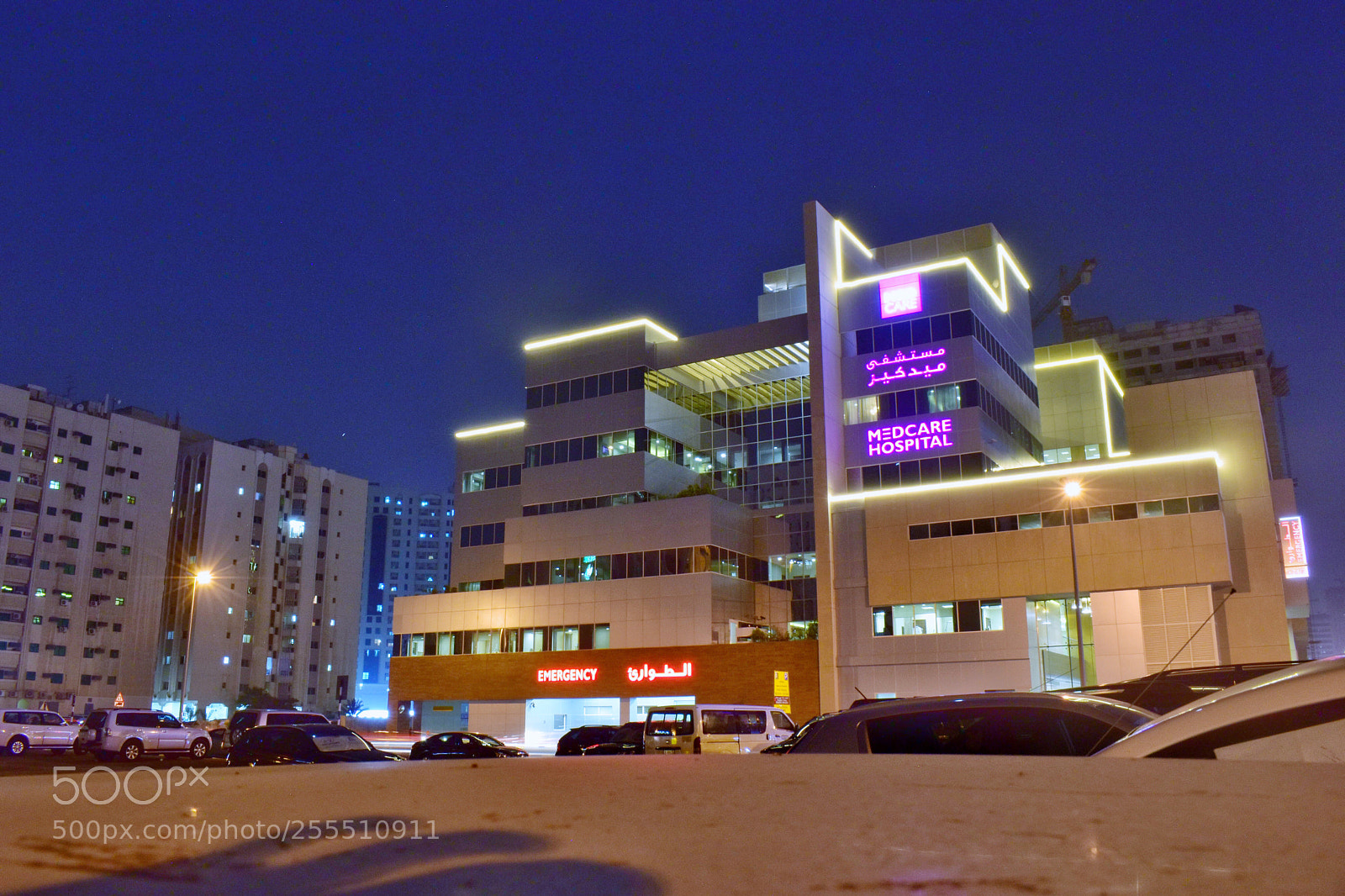 Nikon D5500 sample photo. Untitled photography